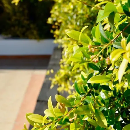 Apartamento Villa ELTAEL - Casa Daniel - Manta Rota - Moradia com Piscina Partilhada