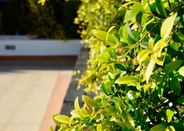 アパート Eltael - Daniel - Warm Pool From April 2026