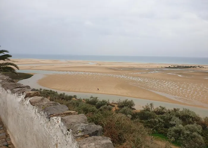 Eltael - Daniel - Warm Pool From April 2026 * マンタ・ロータ