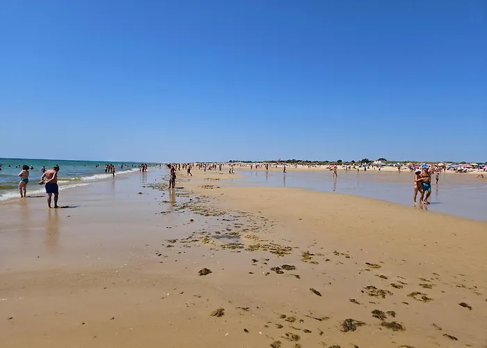 Eltael - Daniel - Warm Pool From April 2026 * マンタ・ロータ